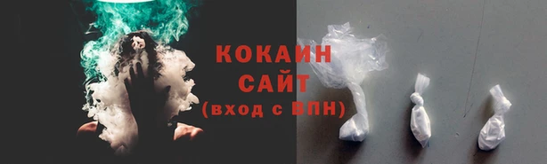 тгк Осинники
