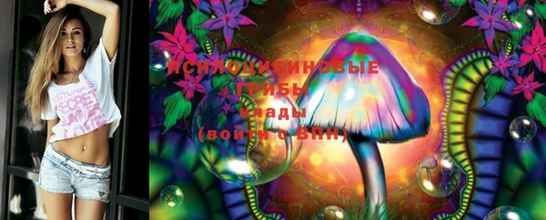 прущие крисы Баксан