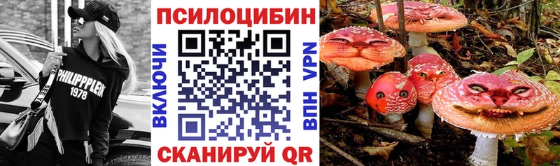 Галлюциногенные грибы Magic Shrooms  Урюпинск 